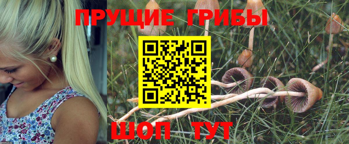 Псилоцибиновые грибы мухоморы Сатка
